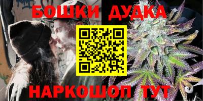 индика Аша